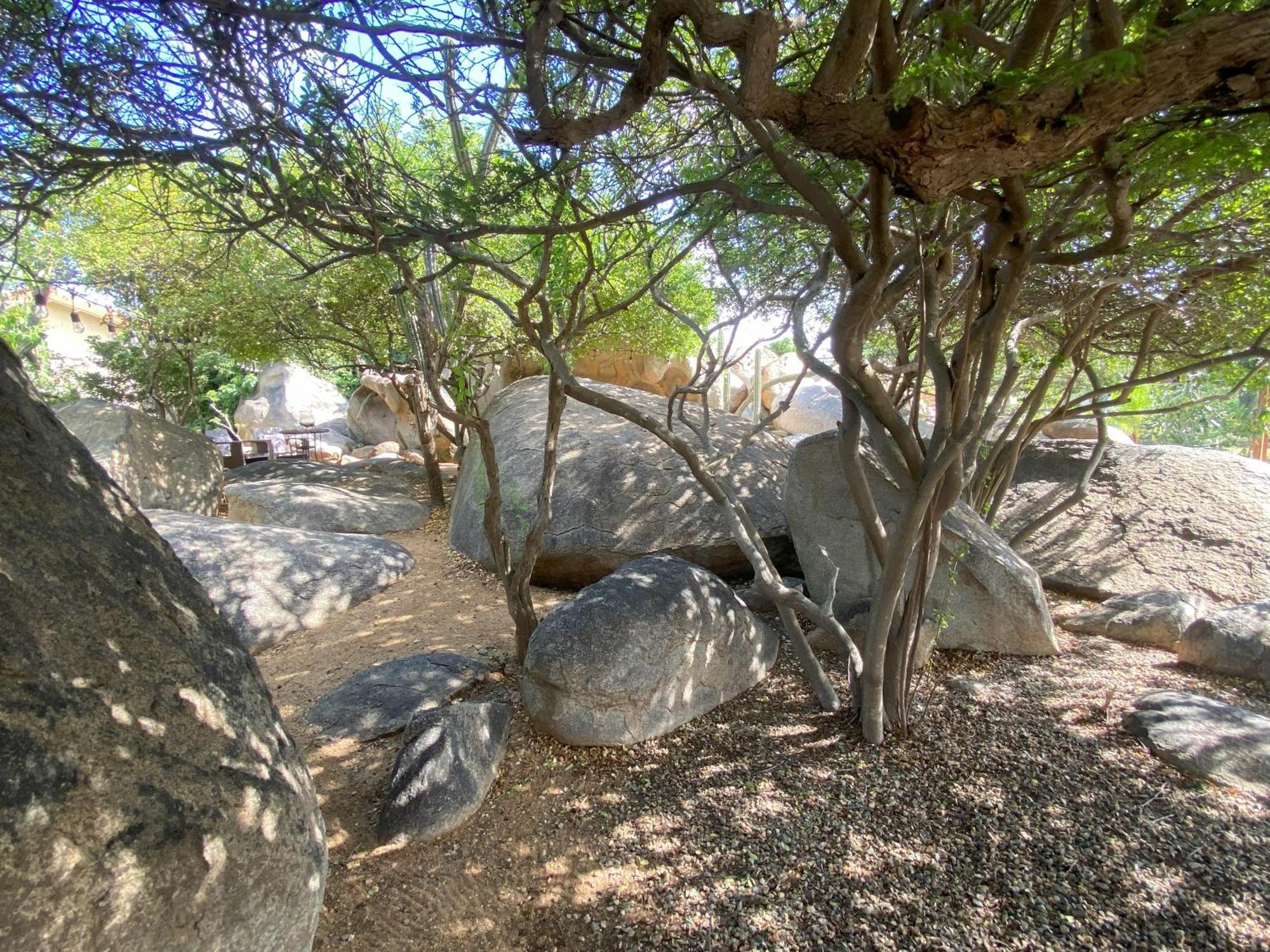 Pura Vida Aruba Appartement Palma ノールト エクステリア 写真