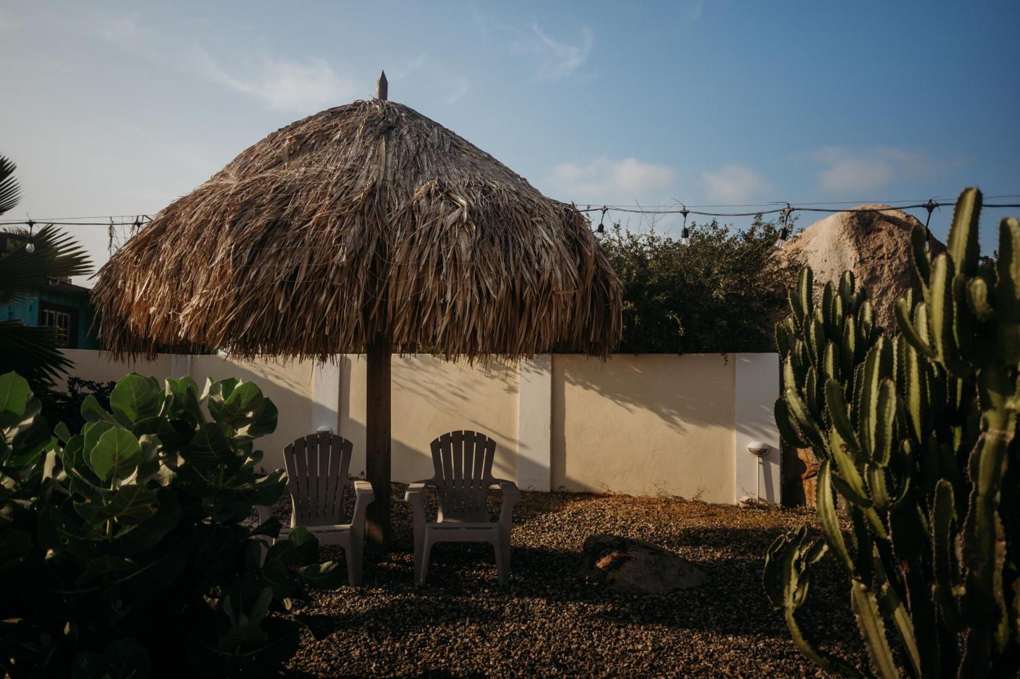 Pura Vida Aruba Appartement Palma ノールト エクステリア 写真