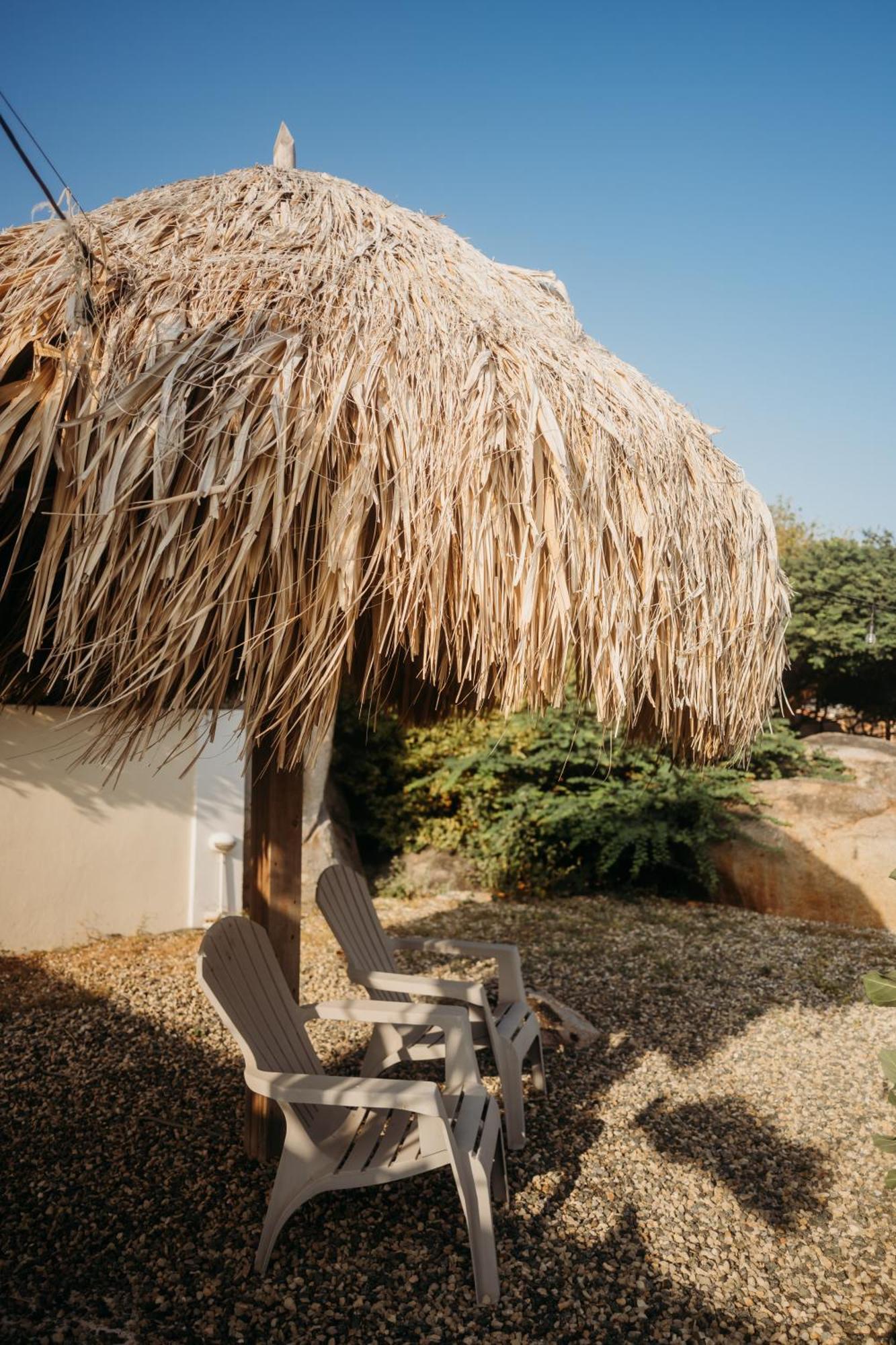 Pura Vida Aruba Appartement Palma ノールト エクステリア 写真